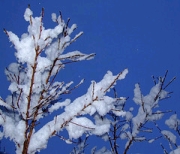 Přiložený obrázek