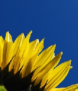 Přiložený obrázek